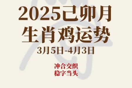 1981年出生属鸡女2025年每月运势完整版精准分析