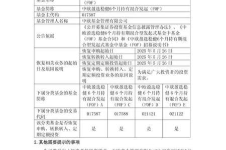 万润新能发行市盈率是否过高？最新估值分析与申购风险提示