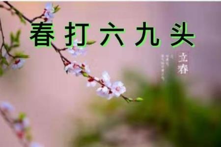 2021年打春有什么需要注意的传统习俗和禁忌？