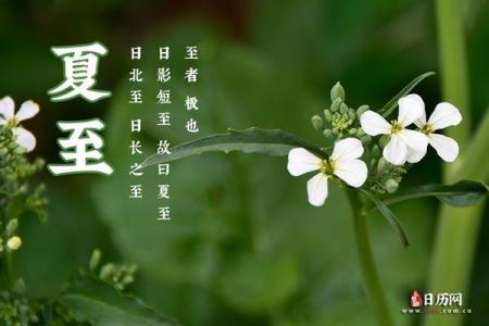 2021年夏至的准确时刻是哪天？具体是几点几分几秒？