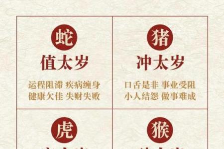锦上添花是指什么生肖 锦上添花代表什么动物生肖