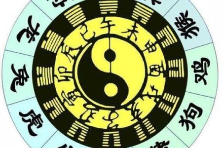 骑者善坠打一正确生肖 骑者善坠指什么生肖