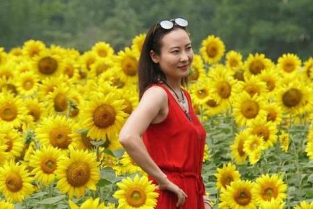 黄花女儿是指哪个生肖 黄花闺女代表什么生肖