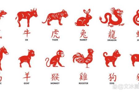 锦上添花猜一生肖 锦上添花是什么生肖动物