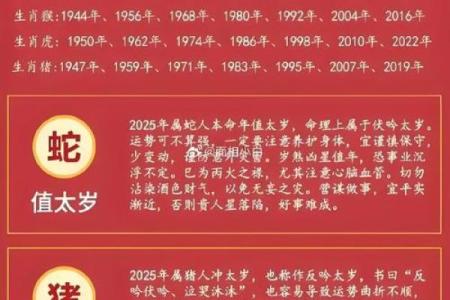 2025年属鸡的人犯太岁需要注意哪些具体事项和禁忌？
