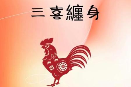 2025年属鸡人的全年运势解析及每月运程详解
