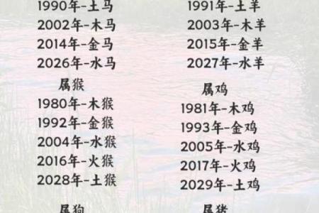 2012年龙年出生的人五行属什么命格解析