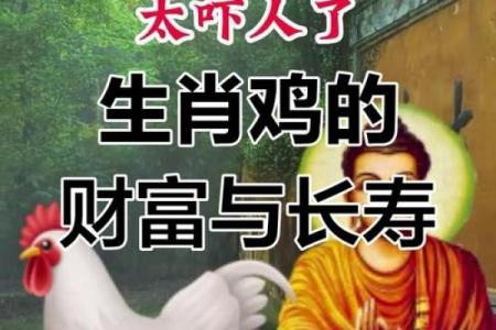 1981年属鸡的人今年运势如何？事业财运健康详解