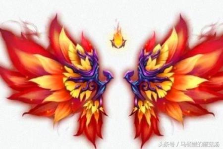 属龙的女孩头顶有两个旋代表什么性格特征和运势？