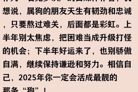 1946年属狗的人2025年运势详解及每月运程预测