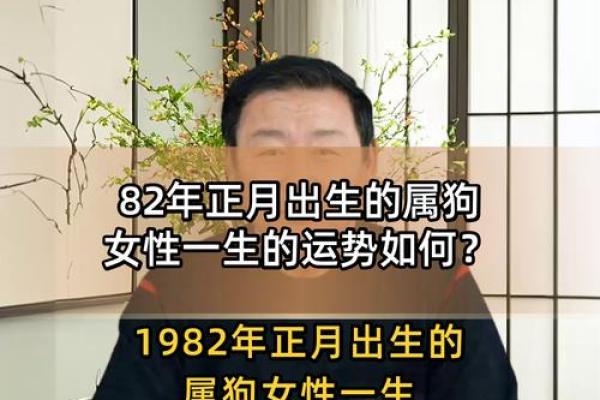 1982年出生的属狗人2025年运势如何及每月运程分析