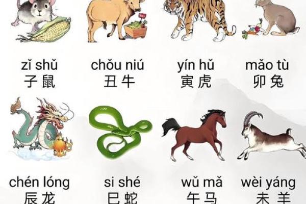 鼠肚鸡肠指什么生肖 鼠肚鸡肠打一生肖答案