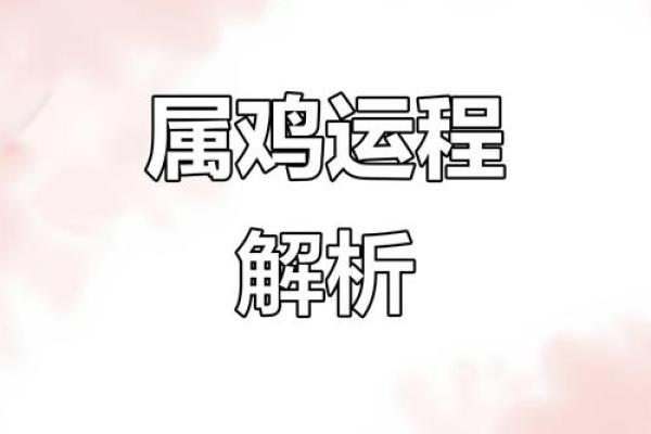 属鸡的人2024年运势如何，年龄计算与流年运程全解析