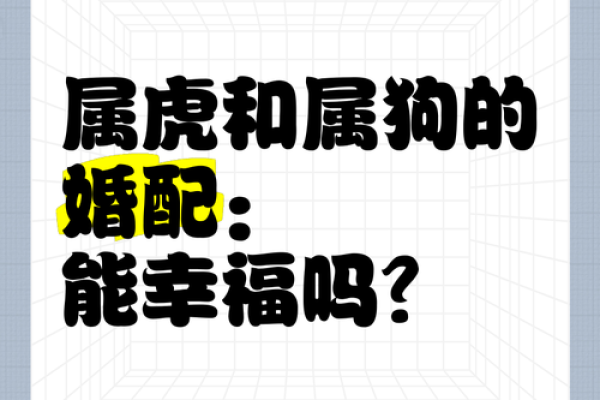 属狗的女性在婚姻感情方面需要注意哪些问题与化解方法？
