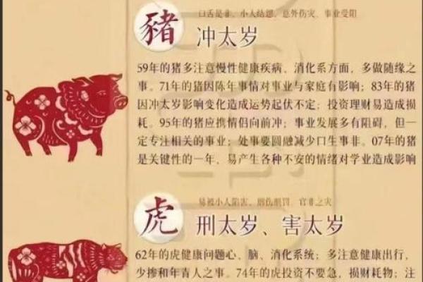 鸡犬相邻打一生肖 鸡犬相邻生肖谜底查询