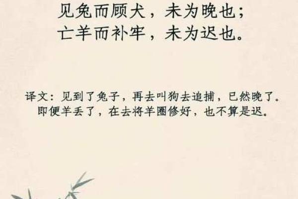 鸟尽弓藏”是什么生肖动物 鸟尽弓藏打一生肖答案