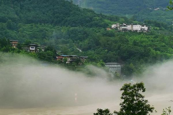 阴雨绵绵冻死狗”是什么生肖 阴雨绵绵冻死狗打一生肖