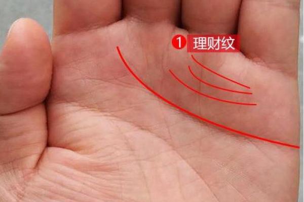 鸿运当头打一精准生肖 2024年鸿运当头生肖查询