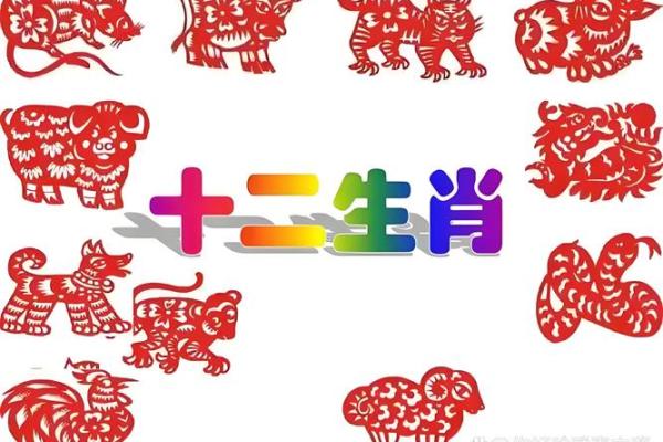 属狗女性今日打牌财运如何，有什么旺财小技巧？