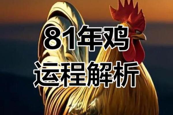 81年属鸡的人今年运势如何以及具体年龄计算方式解析