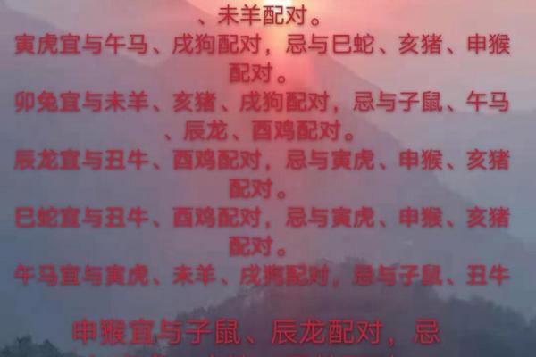 从生肖配对角度分析，属鸡的最佳配偶属相是哪些？