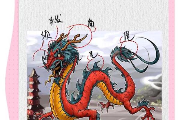 龙虎之争是什么生肖 龙和虎属相婚配宜忌
