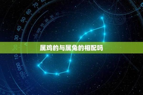 从生肖角度分析，属鸡和属兔的婚姻配对需要注意哪些问题？
