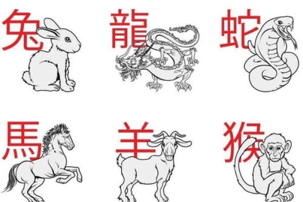 鼠肚鸡肠”打一生肖是什么 鼠肚鸡肠对应的生肖是哪个