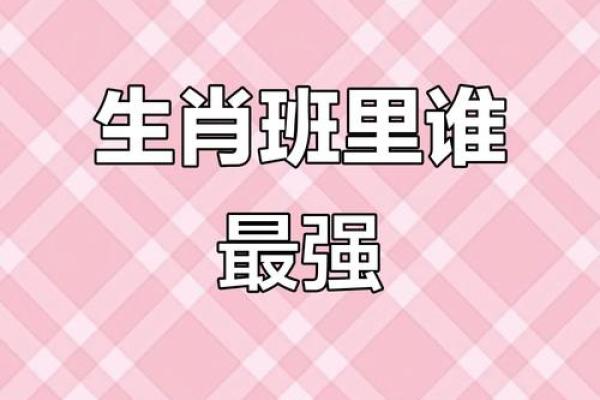 通观全局”打一准确动物生肖 通观全局指什么生肖动物