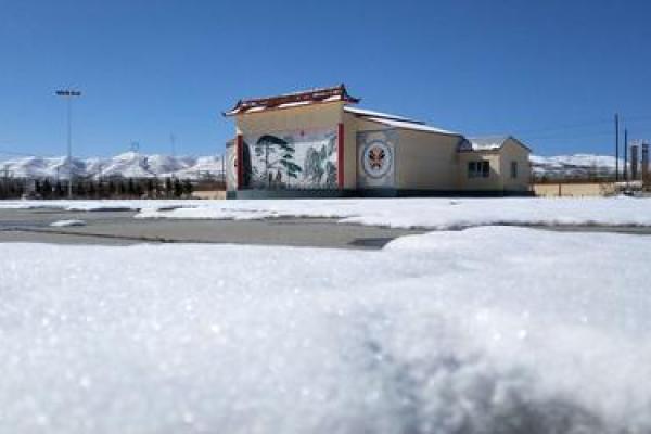 阳春白雪是什么生肖？ 阳春白雪生肖文化解析