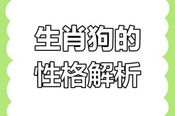 2006年出生属狗人的最佳婚配对象，性格与运势分析