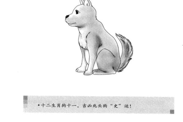 1994年出生属狗2025年每月运程如何？感情婚姻运势有变化吗？