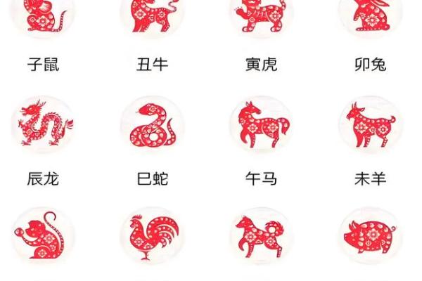 青藏高原是指什么生肖 青藏高原代表哪个生肖动物