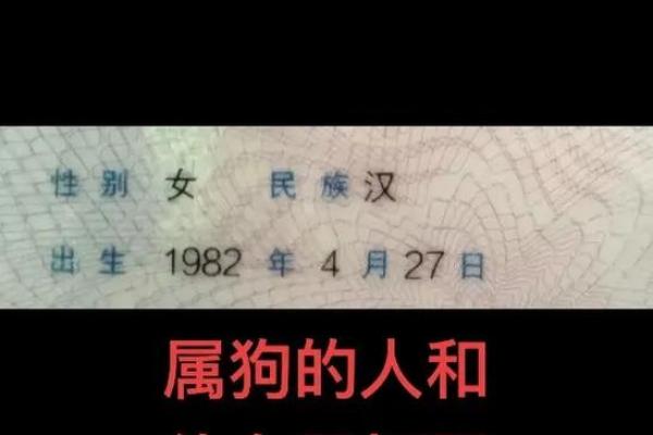 属狗男在感情中最依赖什么样的女人，他们无法放弃的类型？