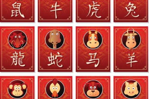 属鸡的今年多大年龄了，2024年虚岁和周岁怎么区分？
