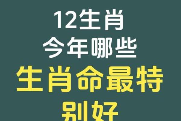 长命百岁打一正确生肖 长命百岁指哪个生肖动物