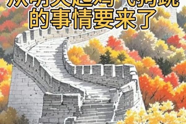 鸡飞狗跳是什么生肖 鸡飞狗跳代表什么生肖动物