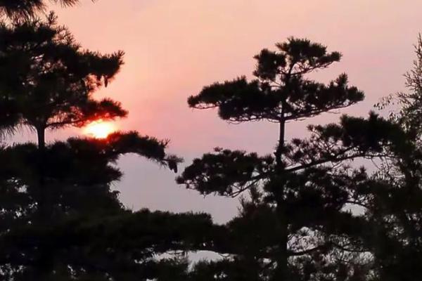 霞光万道”打一准确动物生肖 霞光万道打一生肖答案