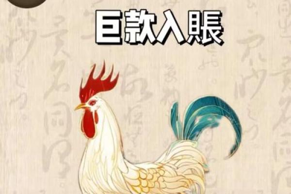 81年属鸡人今日财运方位在哪，求指点迷津
