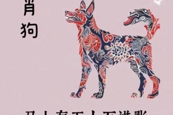 1994年出生属狗2025年全年财运、事业和感情运势如何