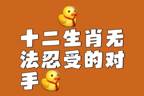 软弱无力”打一最佳准确生肖 软弱无力猜生肖谜底是什么