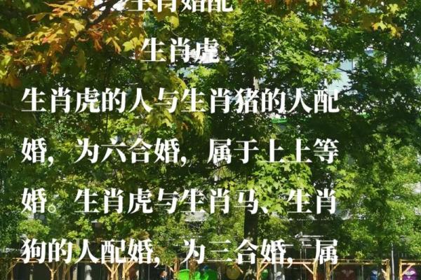 野战之师是什么生肖 生肖配对野战之师含义