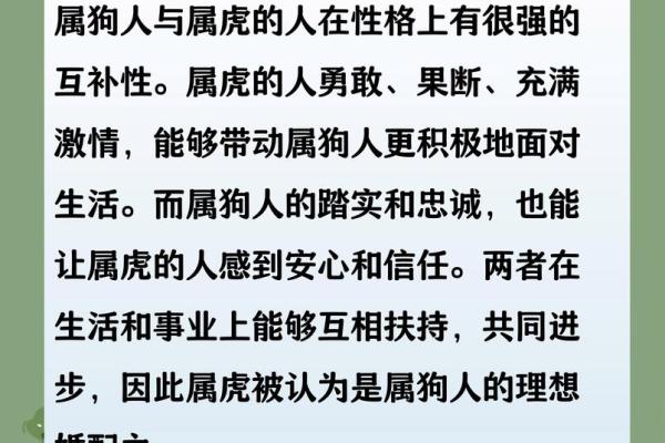属狗女性2025年感情运势如何，婚姻生活是否会有新的变化和机遇？