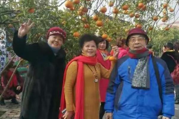 阳春白雪打一个生肖 阳春白雪生肖谜底