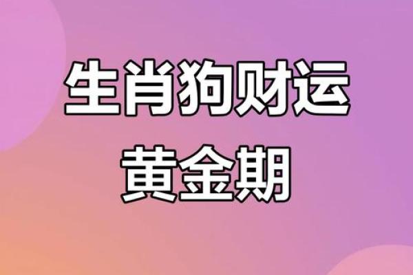 2025年属狗的人财运如何，会有大的突破和增长吗