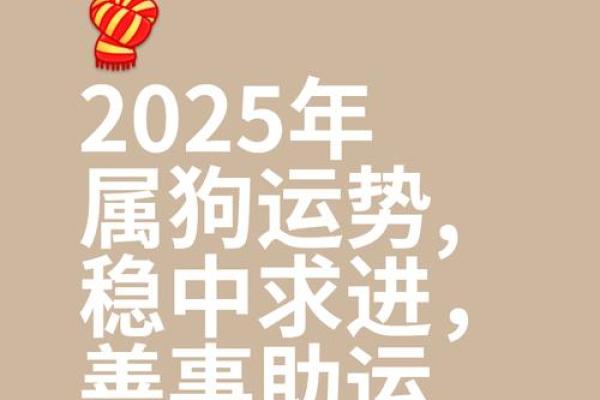 2025年属狗的人财运如何，会有大的突破和增长吗