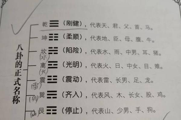 顶天立地打一生肖 十二生肖顶天立地是哪个