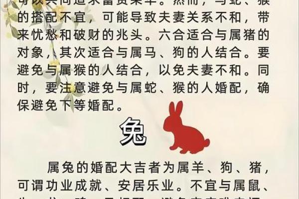 这些生肖总是有层出不穷的花样等着你 生肖花样多适合结婚吗