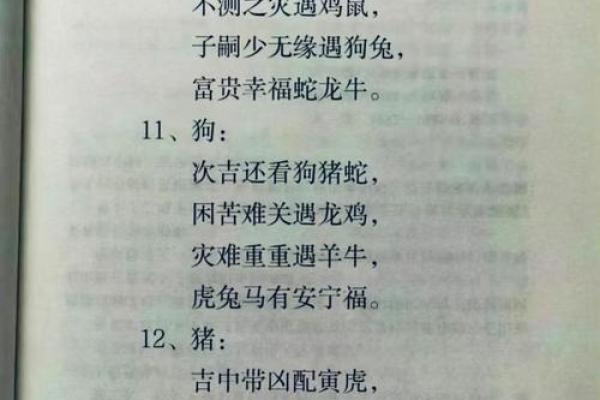 雁过留声”打一最佳准确生肖 雁过留声打一生肖是什么