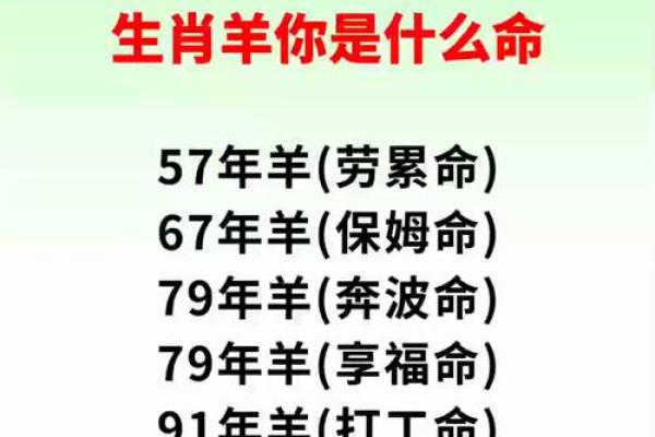 铁头长角羊成群是什么生肖 铁头长角羊成群寓意解析